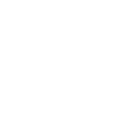 maxiseservice adjust